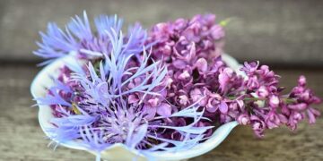 American Legion Hall celebrates Veterans with night of entertainment – Bethany Republican-Clipper