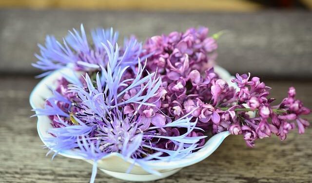 American Legion Hall celebrates Veterans with night of entertainment – Bethany Republican-Clipper