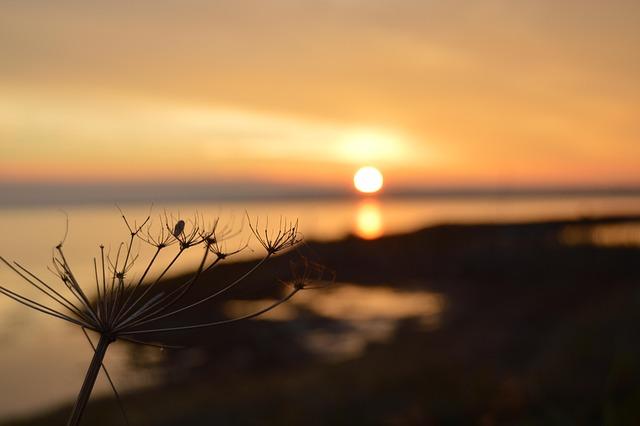How Ro Khanna is looking to build on his Epstein files victory: From the Politics Desk – NBC News
