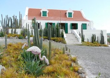 Curaçao makes soccer history as smallest nation by population to qualify for a World Cup – AP News