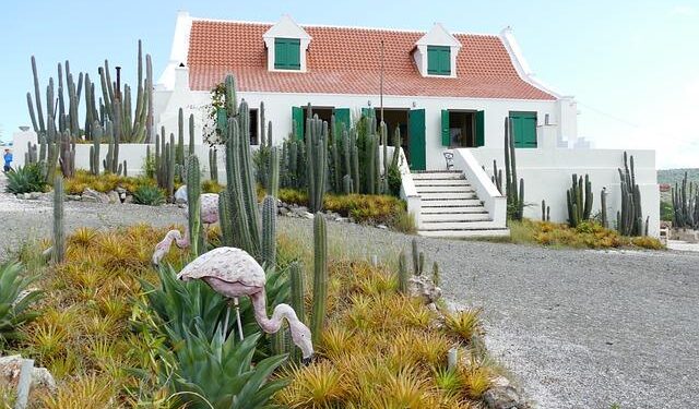 Curaçao makes soccer history as smallest nation by population to qualify for a World Cup – AP News