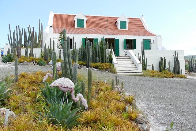 Curaçao makes soccer history as smallest nation by population to qualify for a World Cup – AP News