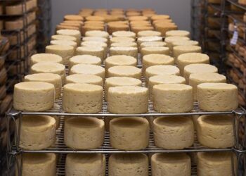 This Cheese Was Just Named the Best in the World – Yahoo