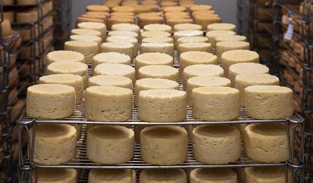 This Cheese Was Just Named the Best in the World – Yahoo