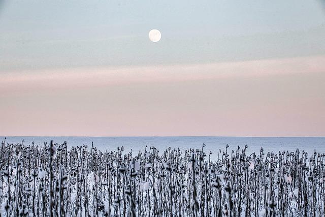 “Immune Landscape” Art Gallery – La Jolla Institute