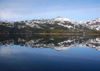 Science Lab: Quinnen Williams makes everybody better, period – Dallas Cowboys | Official Site of the Dallas Cowboys