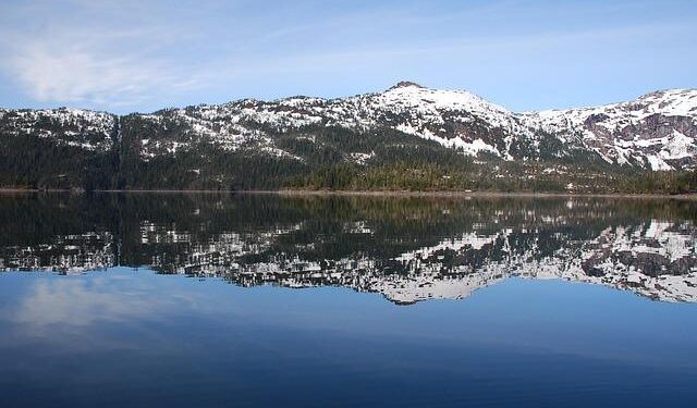 Science Lab: Quinnen Williams makes everybody better, period – Dallas Cowboys | Official Site of the Dallas Cowboys