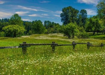 WATCH: Lawmakers ask WA to ‘show your work’ in lawsuit over failure to release climate data – The Center Square