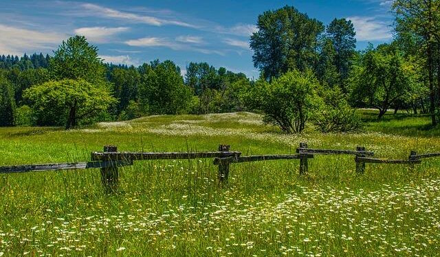 WATCH: Lawmakers ask WA to ‘show your work’ in lawsuit over failure to release climate data – The Center Square