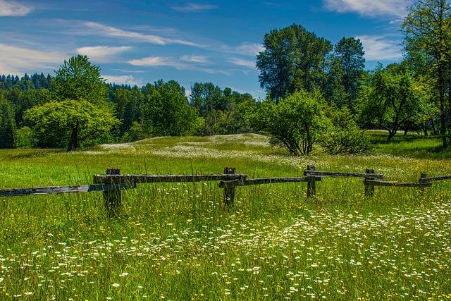 WATCH: Lawmakers ask WA to ‘show your work’ in lawsuit over failure to release climate data – The Center Square