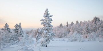 Old North Festival Chorus presents Christmas concerts in Marblehead MA – Wicked Local