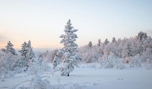 Old North Festival Chorus presents Christmas concerts in Marblehead MA – Wicked Local