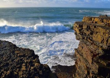 West Coast Health Alliance protests new language on CDC webpage falsely linking vaccines and autism – KGW