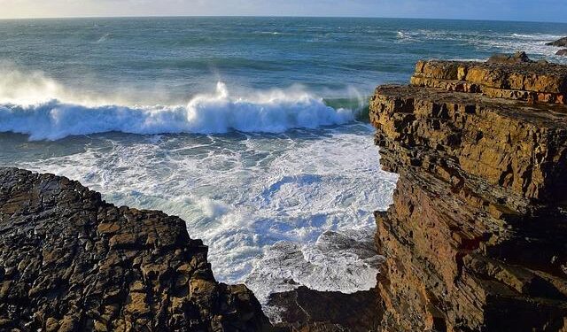 West Coast Health Alliance protests new language on CDC webpage falsely linking vaccines and autism – KGW