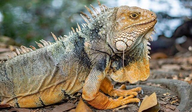 Off-gridder shares funny video debunking common myth about lifestyle: ‘It’s taken me years to get used to this’ – Yahoo