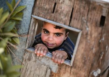 Gaza’s economy collapsed 83% in 2024, pushing all 2.3 million people into poverty – UN Trade and Development (UNCTAD)