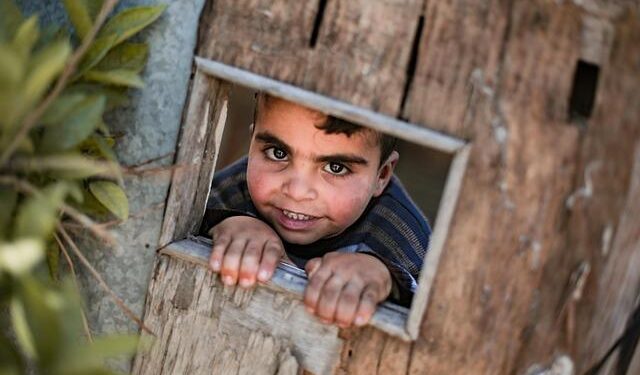 Gaza’s economy collapsed 83% in 2024, pushing all 2.3 million people into poverty – UN Trade and Development (UNCTAD)