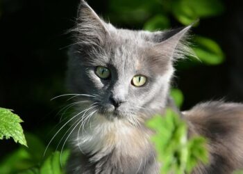 Governor Kathy Hochul’s Lavish Lifestyle Is A Bit Out Of Touch – thelist.com