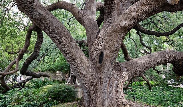 Trump orders nationwide AI Genesis Mission to drive science – theregister.com