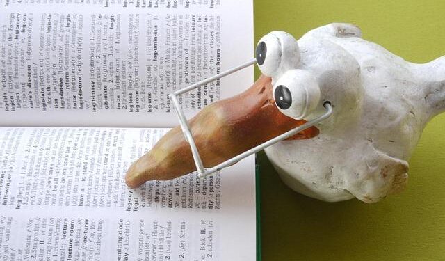 Science teacher jury-rigged everything and used humor as the glue – MPR News