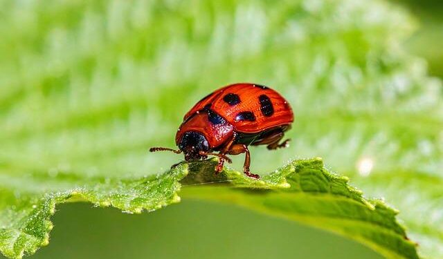 Behavioural ecology in the twenty-first century – Nature