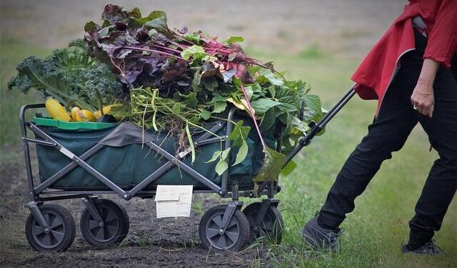 Thanksgiving dinner politics: Poll shows one side bracing for more arguments – Scripps News