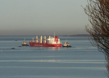 Lifestyle and Trends Expert Emily Foley Shares Her 2025 Family Gift Guide with YourUpdateTV – Yahoo Finance Australia