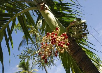 Rep. Maxine Waters shares why she’s not retiring from Congress – CNN