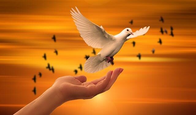 Public trust in science eroded by UN climate change language, study suggests – Phys.org