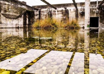 Wastewater treatment plants awarded for top performance – Department of Ecology – State of Washington (.gov)