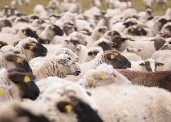 Assessing NICE Stock After a 45% Drop and New Technology Partnerships in 2025 – Yahoo Finance