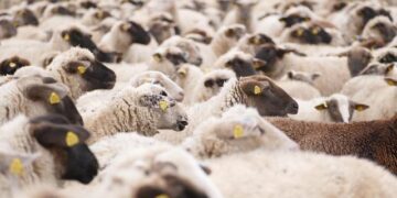 Assessing NICE Stock After a 45% Drop and New Technology Partnerships in 2025 – Yahoo Finance