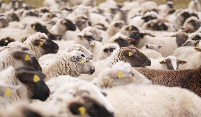 Assessing NICE Stock After a 45% Drop and New Technology Partnerships in 2025 – Yahoo Finance