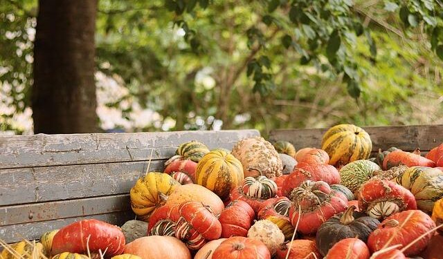 NBC’s Macy’s Thanksgiving Day Parade Coverage Draws Biggest Audience Ever – Yahoo