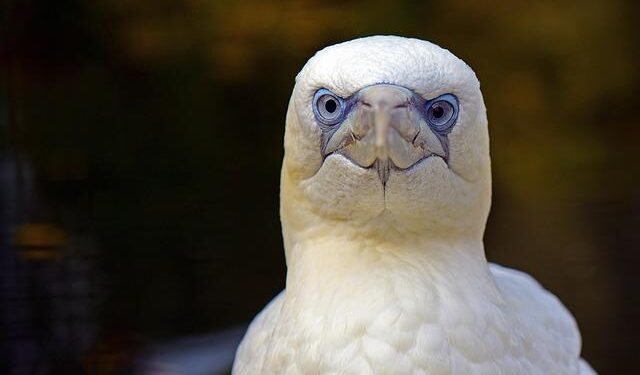 Why the economy has that ‘weird feeling of something you like getting worse’: One of America’s top legal theorists on ‘the age of extraction’ – Fortune