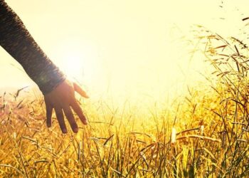 Report says world’s biggest arms producers increased revenue by 5.9% last year to record level – ABC News