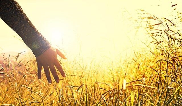 Report says world’s biggest arms producers increased revenue by 5.9% last year to record level – ABC News