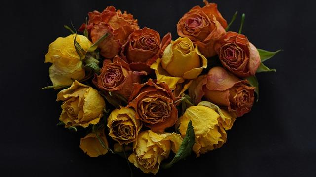 December 2025: Model to study extreme heat, related health effects advanced by NIEHS – National Institute of Environmental Health Sciences (.gov)