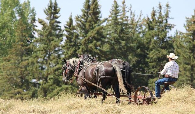 Team USA cruises in World Cup qualifying as MarJon Beauchamp makes case for NBA call – The Athletic – The New York Times