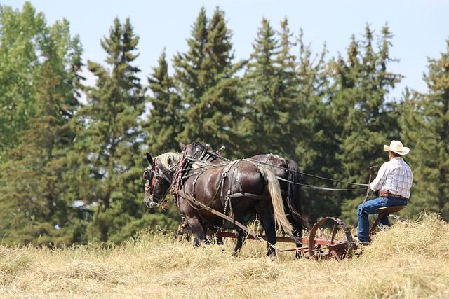 Team USA cruises in World Cup qualifying as MarJon Beauchamp makes case for NBA call – The Athletic – The New York Times