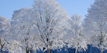 Winter in Saudi Arabia: Where Ancient Heritage Meets Modern Entertainment – TravelPulse