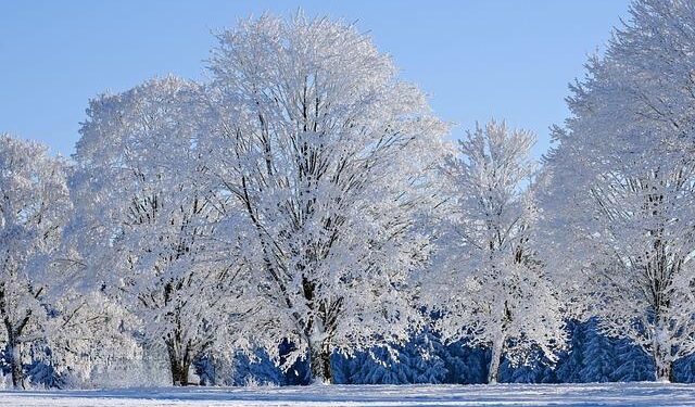 Winter in Saudi Arabia: Where Ancient Heritage Meets Modern Entertainment – TravelPulse