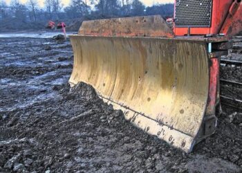 The Science Behind DracoBelle™ Nu: Collagen-Boosting From Within – Nutritional Outlook