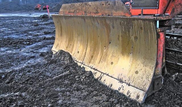 The Science Behind DracoBelle™ Nu: Collagen-Boosting From Within – Nutritional Outlook