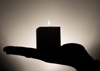 Heat can cut insect survival but boost reproduction, study shows – Phys.org