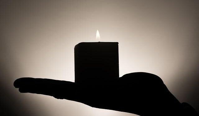 Heat can cut insect survival but boost reproduction, study shows – Phys.org