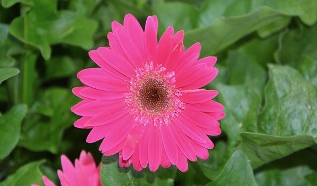 Massie, Paul cosponsor res­o­lu­tions to block unau­tho­rized ‘hos­til­ities’ against Venezuela – Spectrum News 1