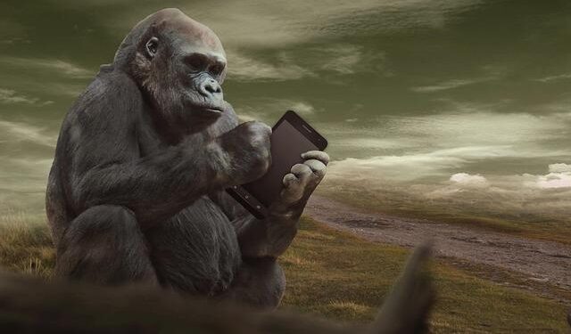 Gorilla Technology (NASDAQ: GRRR) gets 2025 Nobel Sustainability Trust nod for Leadership in Implementation – Stock Titan