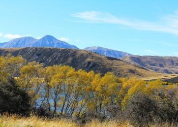 Tanner Pearson with a Goal vs. Buffalo Sabres – Yahoo Sports