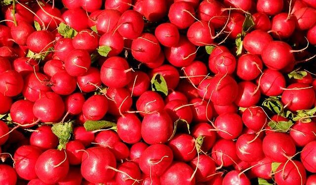 Lifestyle guide: Local markets and seasonal pop-ups travelers shouldn’t miss in Chicago – AZ Big Media